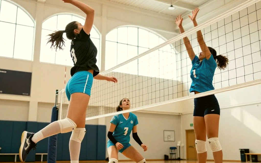 Estonia, 15-11, và hai bảng thống kê không chịu nhìn nhau