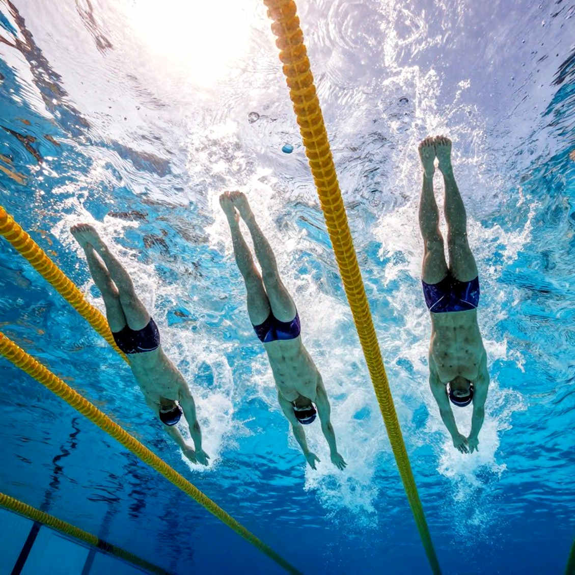 Lakeside Aquatic Club tuyển huấn luyện viên bơi phát triển: Cơ hội cho hành trình ươm mầm vận động viên